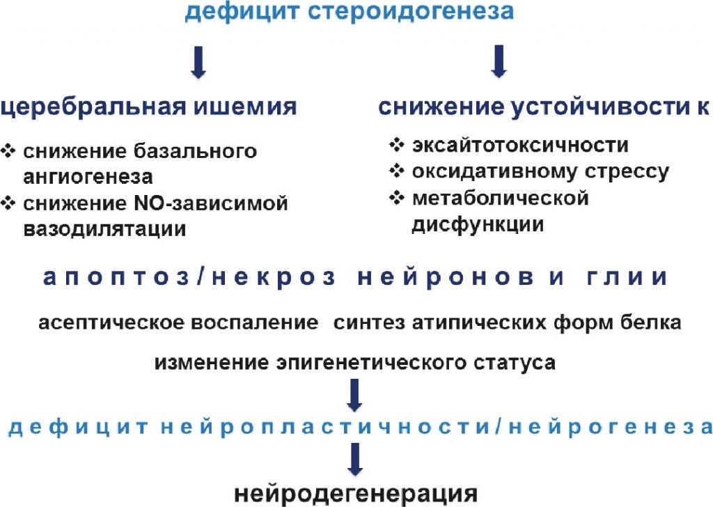 Z4.jpg Z4.jpg